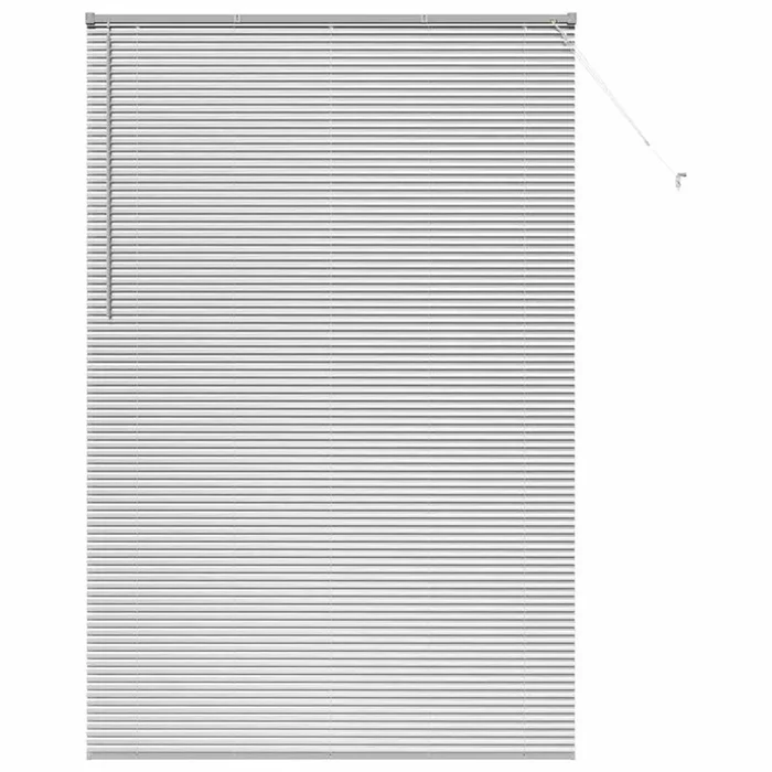 vidaXL Persiana para Ventana con cortinas Manual Plateado Aluminio (69)