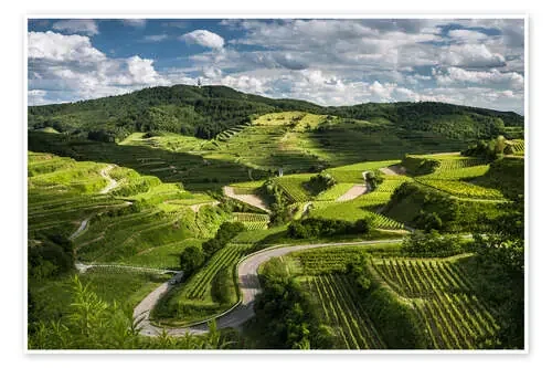 Vine yards in Kaiserstuhl during Spring Time de Andreas Wonisch