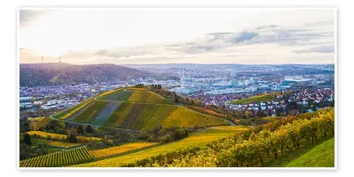 Vineyards in Stuttgart de Dieterich Fotografie