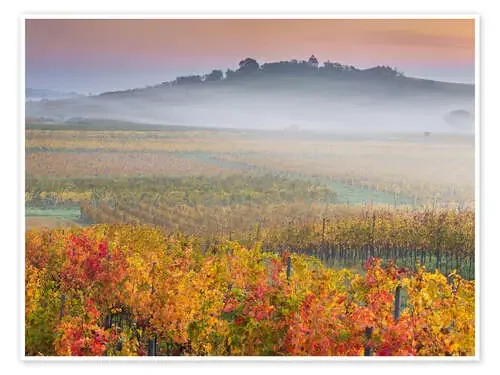 Vineyards IV de Rainer Mirau