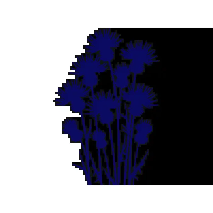 Vinilo Decorativo Floral FL107, Grande, Azul Oscuro 8238-01, Original