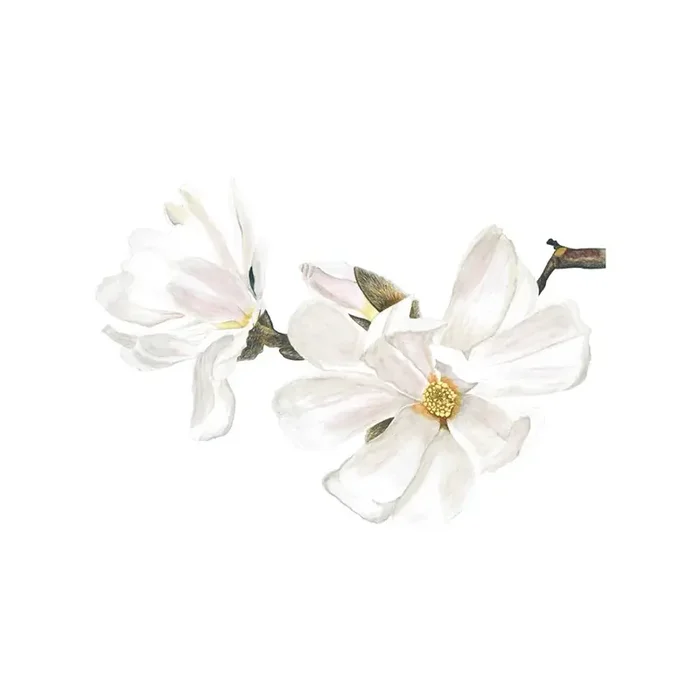 Vinilo Floral 1005