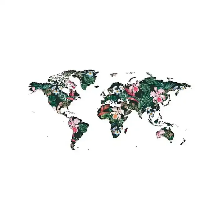 Vinilo Mapa MAP002