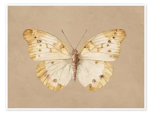 Vintage Butterfly de TAlex