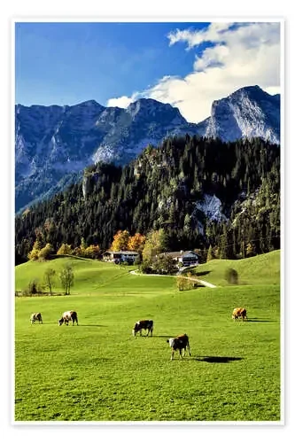 Vista a los Alpes con bosque de Ric Ergenbright Danita Delimont