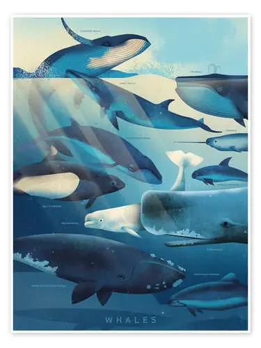 Whales de Dieter Braun