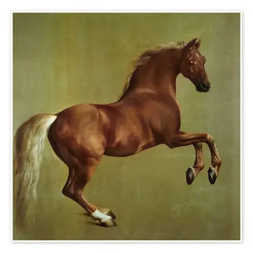 Whistlejacket de George Stubbs Bridgeman Images