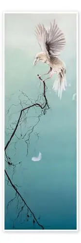 White raven de Nadine Conrad