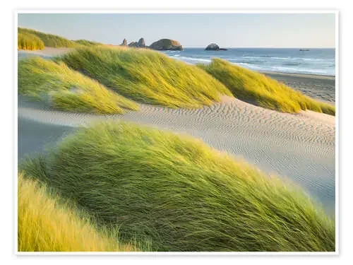 Wild Beach II de Rainer Mirau