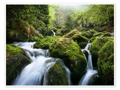 Wild Creek in German Black Forest de Andreas Wonisch
