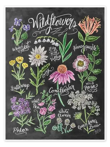 Wildflowers Chalk de Lily & Val MGL Licensing