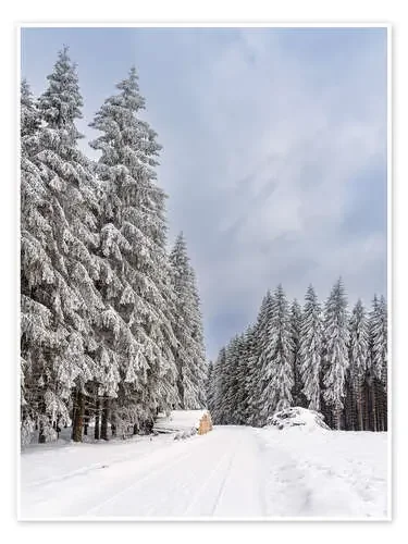 Winter in the Thuringian Forest II de Rico Ködder