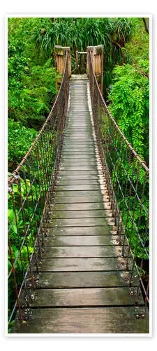 Wooden bridge through the jungle Editors Choice