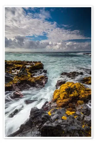 Yellow Seaweed at the Coast of Big Island, Hawaii de Markus Ulrich