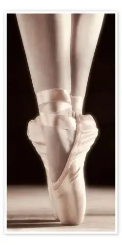 Zapatillas de ballet de Don Hammond Design Pics